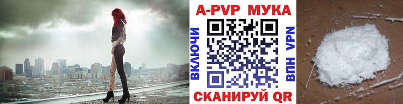 мориарти как зайти  Тайшет  A PVP СК КРИС 