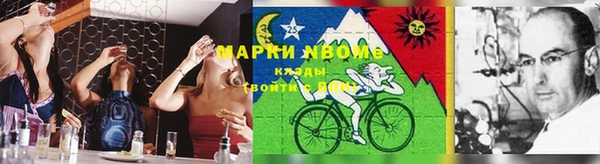 амф Новокубанск