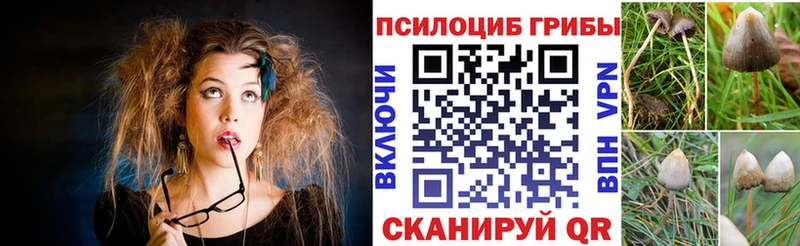 Псилоцибиновые грибы Magic Shrooms  OMG ССЫЛКА  Тайшет 