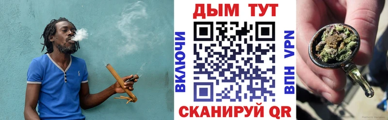 что такое   Тайшет  Канабис конопля 
